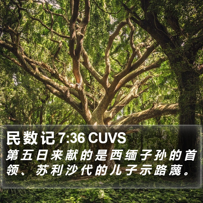 民 数 记 7:36 CUVS Bible Study