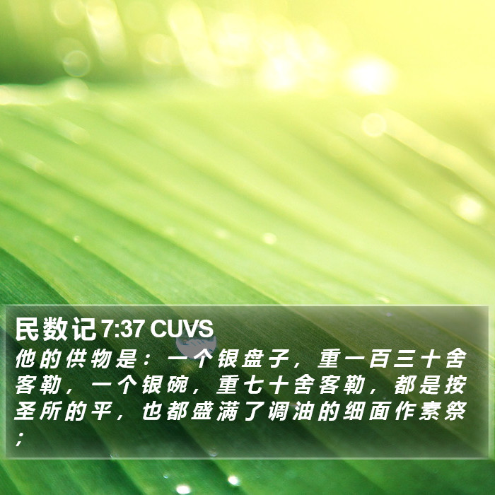 民 数 记 7:37 CUVS Bible Study