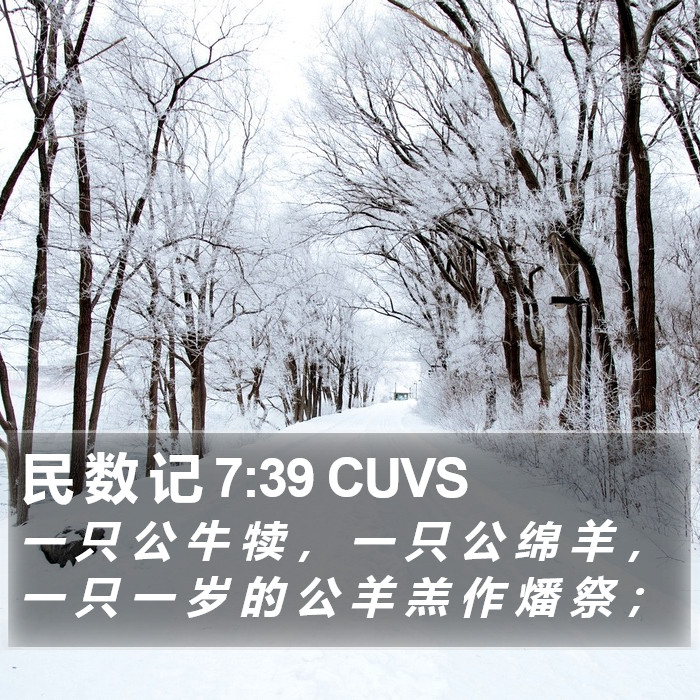 民 数 记 7:39 CUVS Bible Study