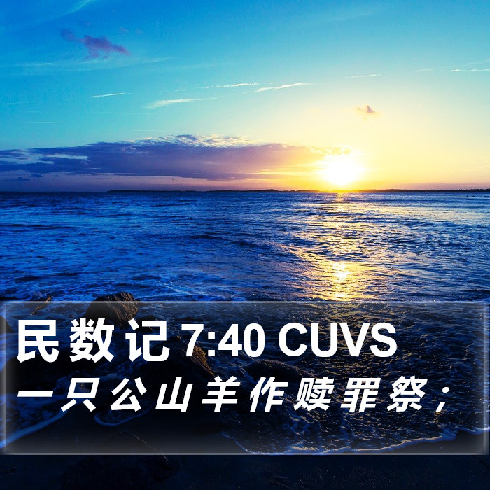 民 数 记 7:40 CUVS Bible Study