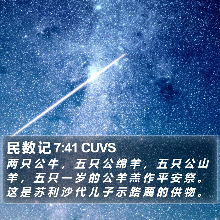 民 数 记 7:41 CUVS Bible Study