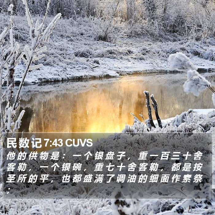 民 数 记 7:43 CUVS Bible Study