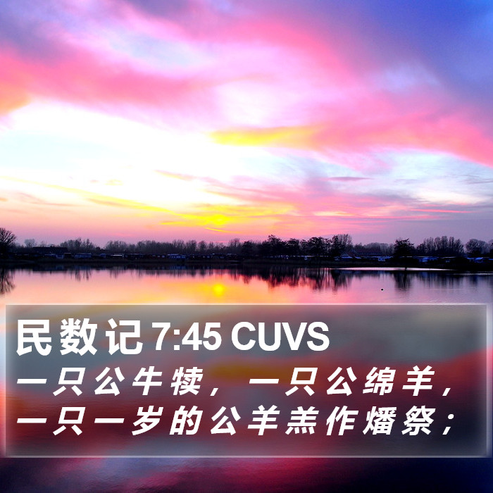 民 数 记 7:45 CUVS Bible Study