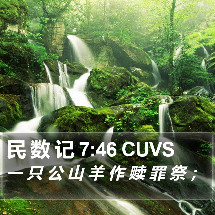 民 数 记 7:46 CUVS Bible Study