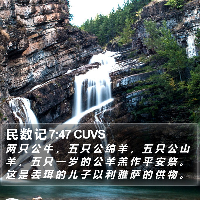 民 数 记 7:47 CUVS Bible Study