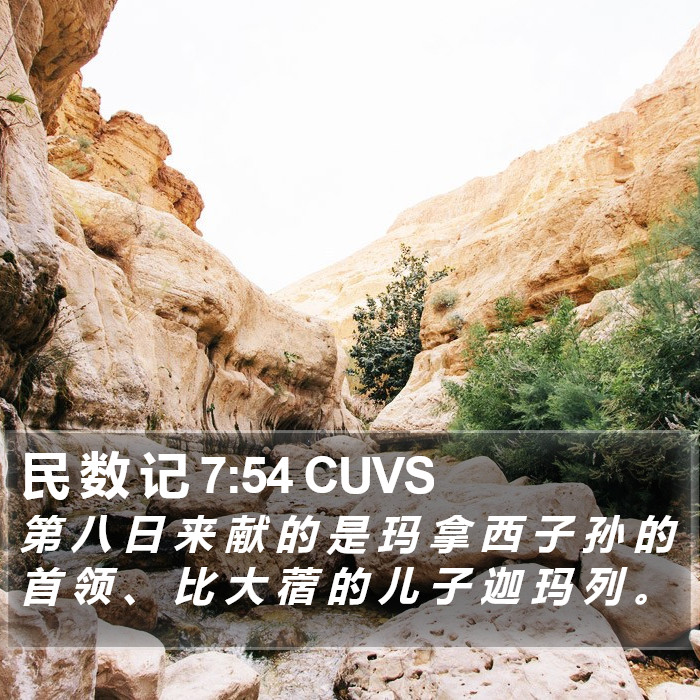 民 数 记 7:54 CUVS Bible Study