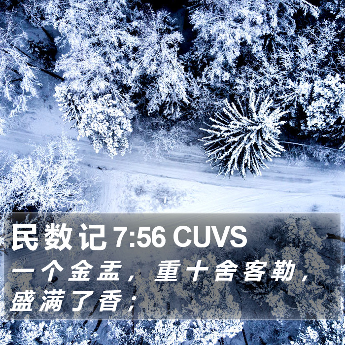 民 数 记 7:56 CUVS Bible Study