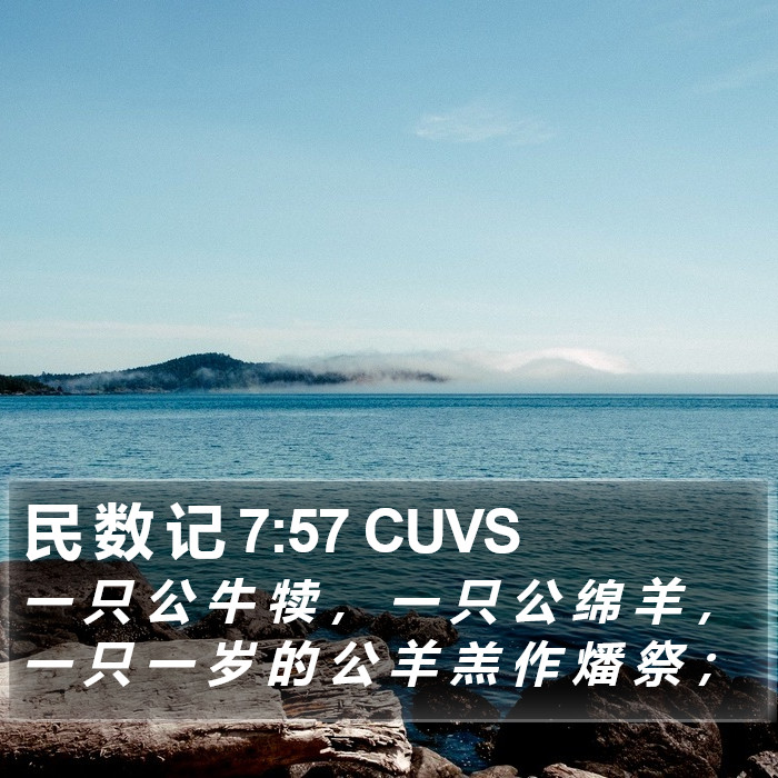 民 数 记 7:57 CUVS Bible Study