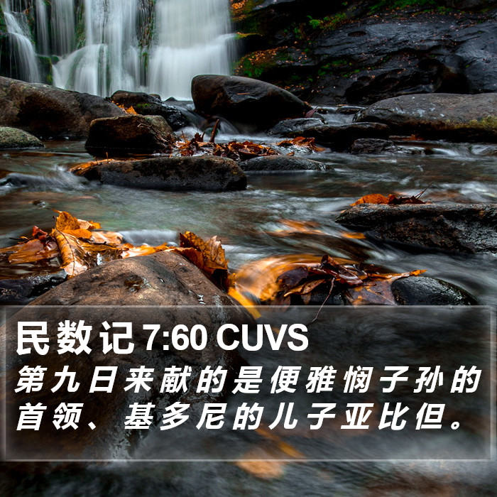 民 数 记 7:60 CUVS Bible Study