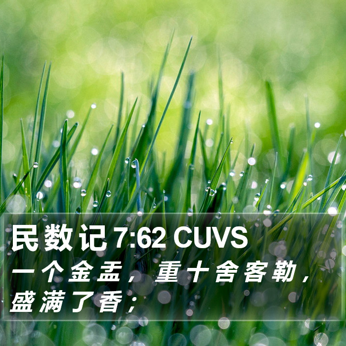 民 数 记 7:62 CUVS Bible Study