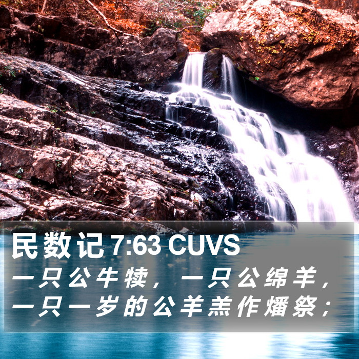 民 数 记 7:63 CUVS Bible Study