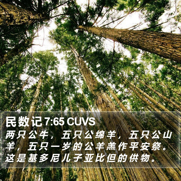 民 数 记 7:65 CUVS Bible Study