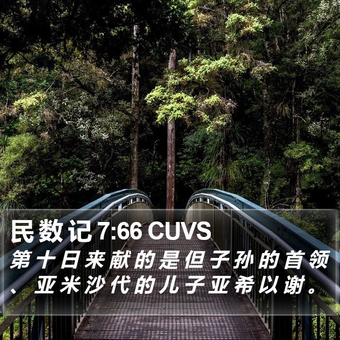民 数 记 7:66 CUVS Bible Study