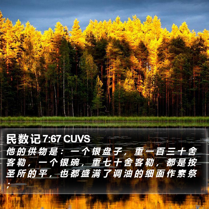 民 数 记 7:67 CUVS Bible Study