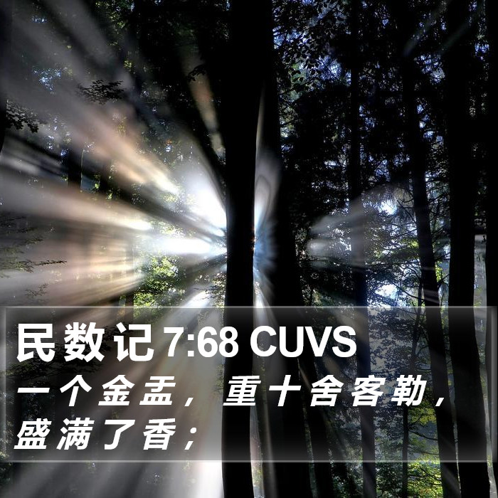 民 数 记 7:68 CUVS Bible Study