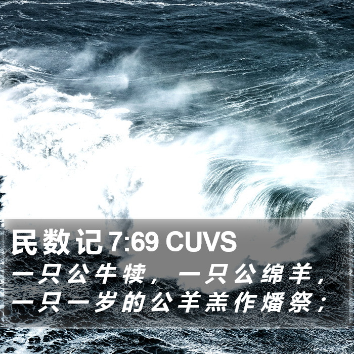 民 数 记 7:69 CUVS Bible Study