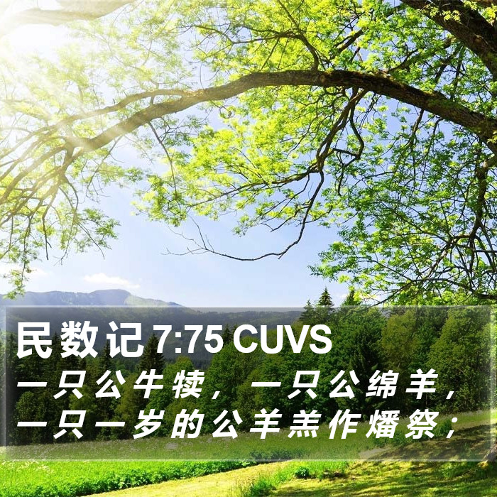 民 数 记 7:75 CUVS Bible Study