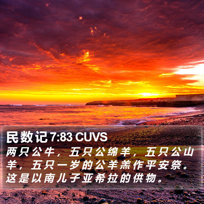 民 数 记 7:83 CUVS Bible Study