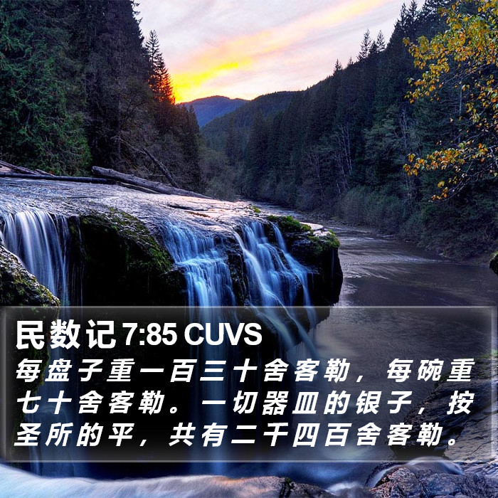 民 数 记 7:85 CUVS Bible Study