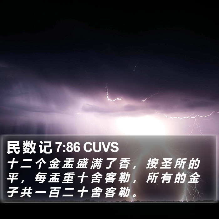 民 数 记 7:86 CUVS Bible Study
