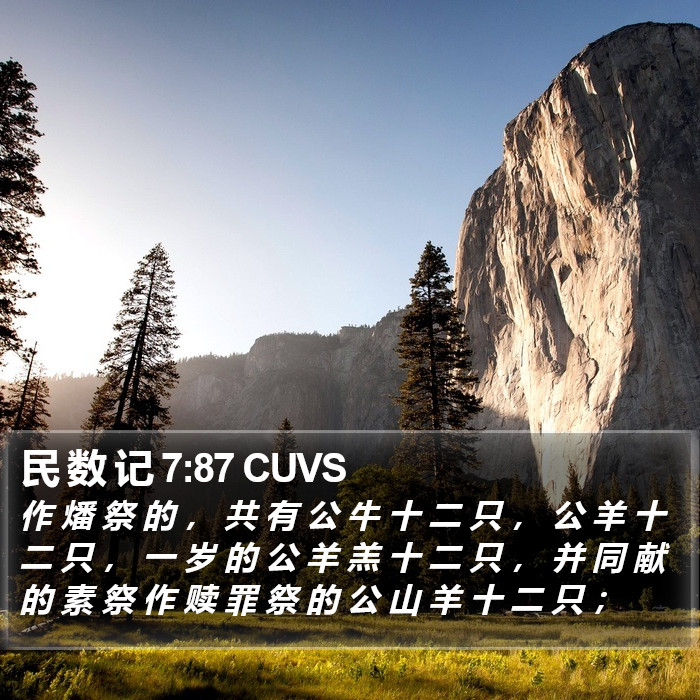 民 数 记 7:87 CUVS Bible Study