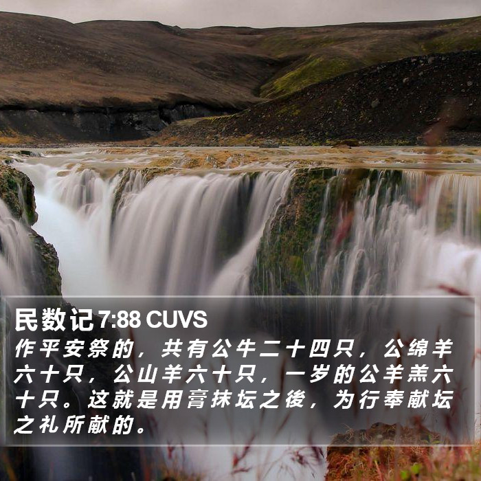 民 数 记 7:88 CUVS Bible Study