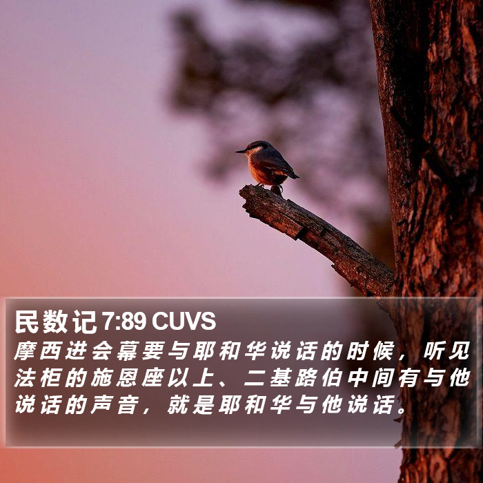 民 数 记 7:89 CUVS Bible Study