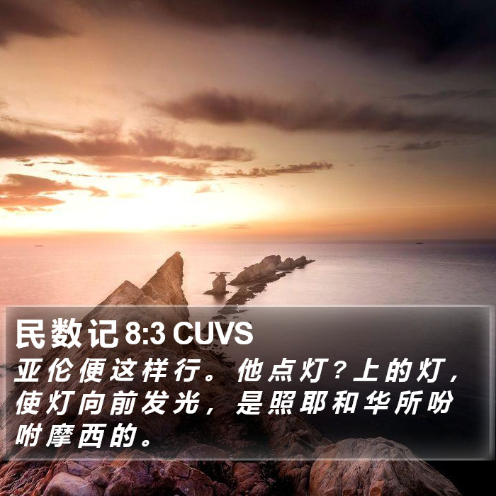 民 数 记 8:3 CUVS Bible Study