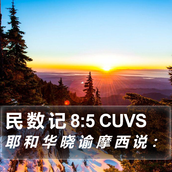 民 数 记 8:5 CUVS Bible Study