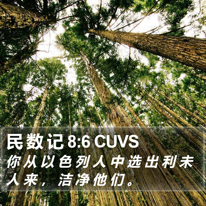 民 数 记 8:6 CUVS Bible Study