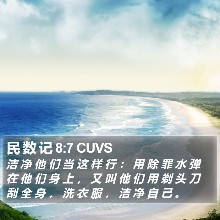 民 数 记 8:7 CUVS Bible Study