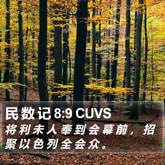 民 数 记 8:9 CUVS Bible Study