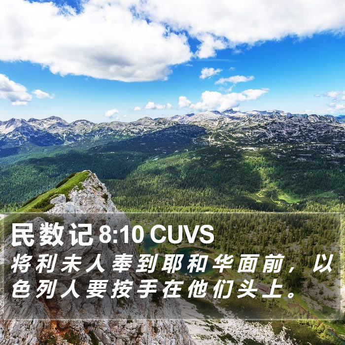 民 数 记 8:10 CUVS Bible Study