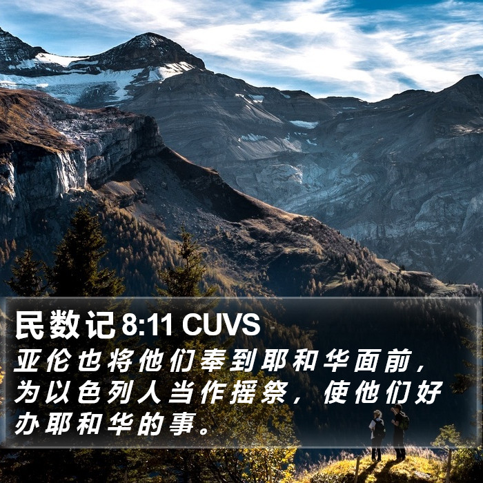 民 数 记 8:11 CUVS Bible Study