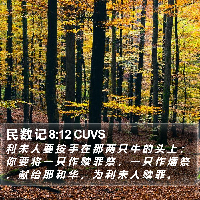 民 数 记 8:12 CUVS Bible Study
