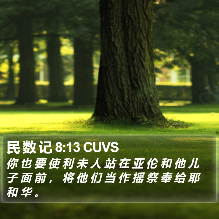 民 数 记 8:13 CUVS Bible Study