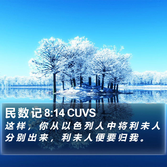民 数 记 8:14 CUVS Bible Study