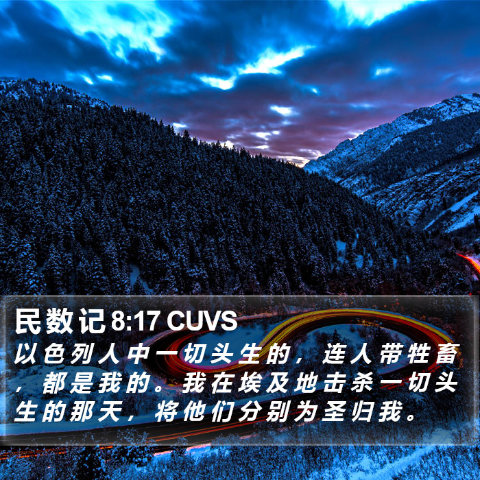 民 数 记 8:17 CUVS Bible Study