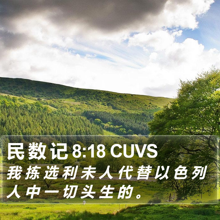 民 数 记 8:18 CUVS Bible Study