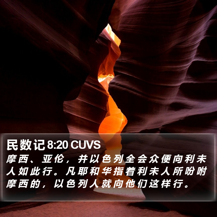 民 数 记 8:20 CUVS Bible Study
