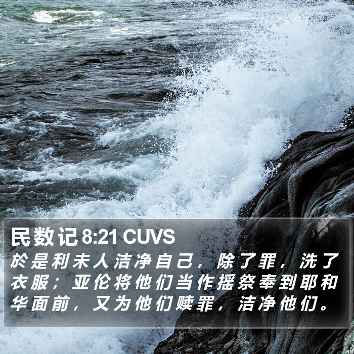 民 数 记 8:21 CUVS Bible Study