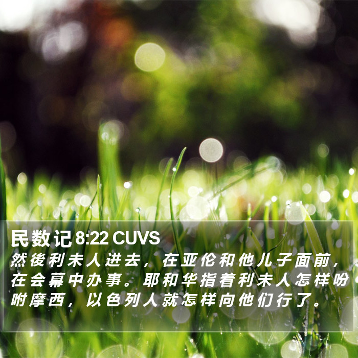 民 数 记 8:22 CUVS Bible Study