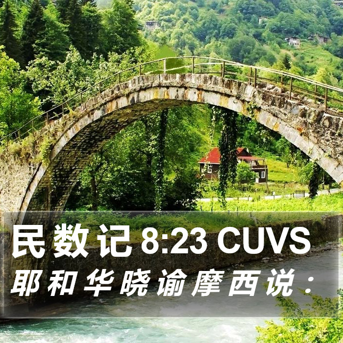 民 数 记 8:23 CUVS Bible Study