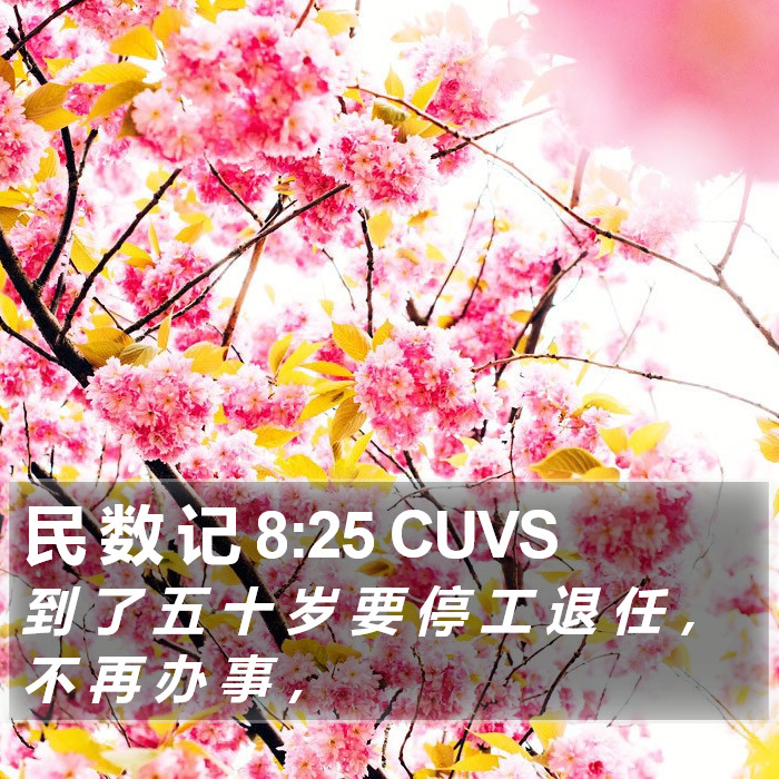 民 数 记 8:25 CUVS Bible Study