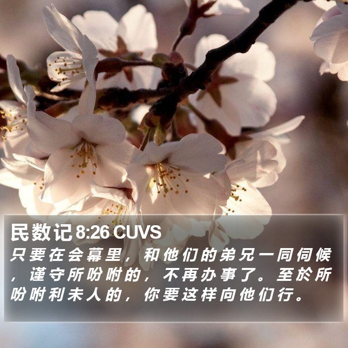 民 数 记 8:26 CUVS Bible Study