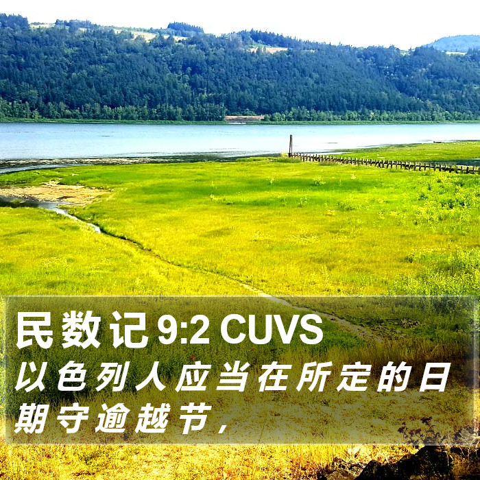 民 数 记 9:2 CUVS Bible Study