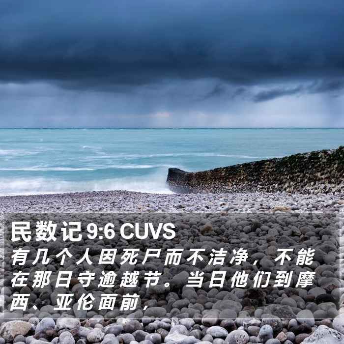 民 数 记 9:6 CUVS Bible Study