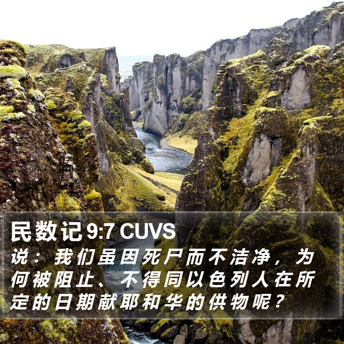 民 数 记 9:7 CUVS Bible Study