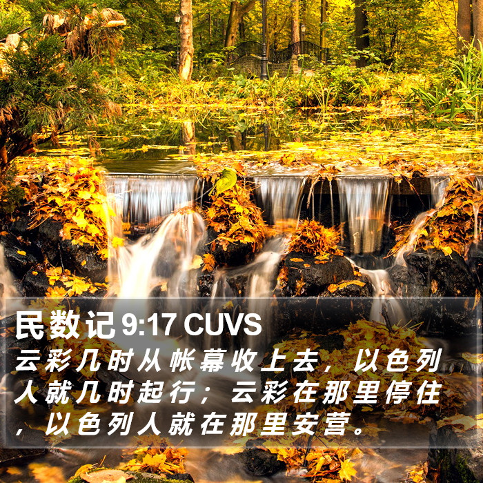 民 数 记 9:17 CUVS Bible Study