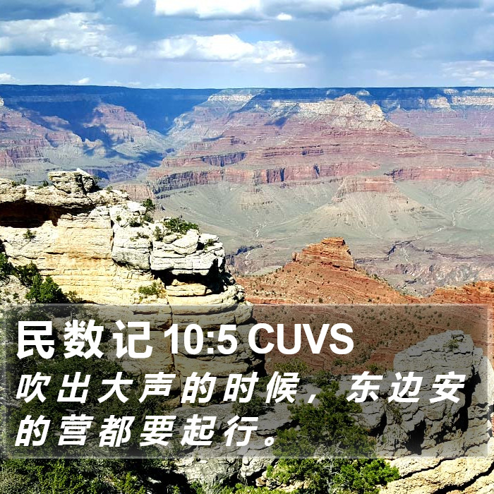 民 数 记 10:5 CUVS Bible Study